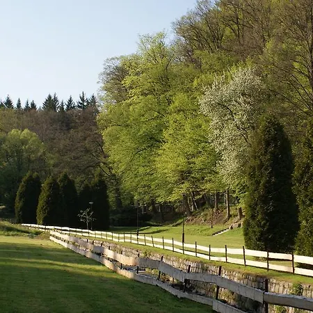 I Restauracja Złoty Las