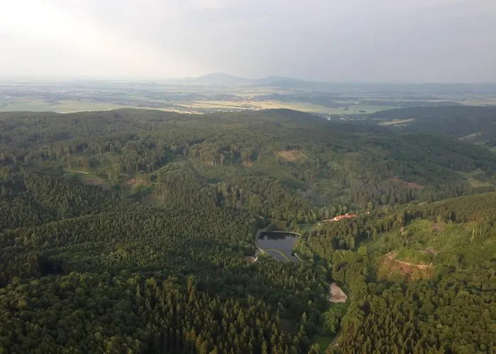 I Restauracja 호텔 Złoty Las