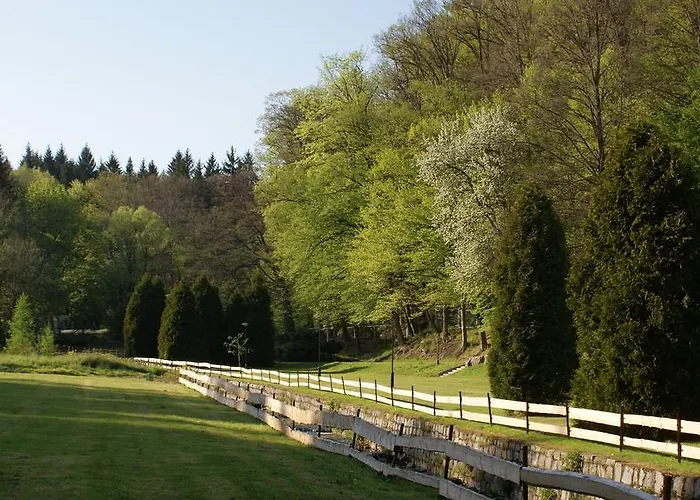 I Restauracja Złoty Las