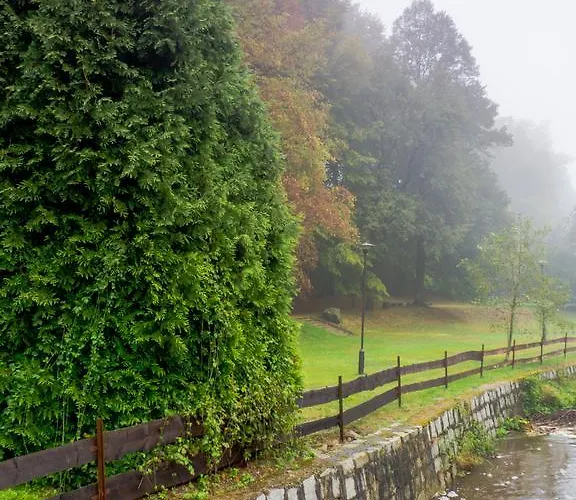 I Restauracja 3* Złoty Las