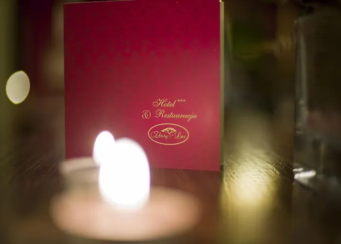 호텔 I Restauracja Złoty Las